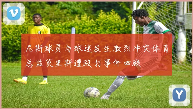 尼斯球员与球迷发生激烈冲突体育总监莫里斯遭殴打事件回顾